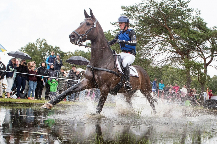 Svenskarna avancerar efter terrängen