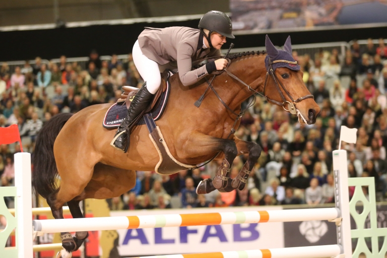 171028karinmartinsenstenhagagecurellart