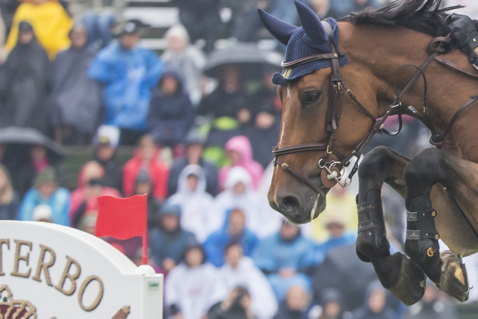 Tveksamt om häst kan Jerringprisnomineras