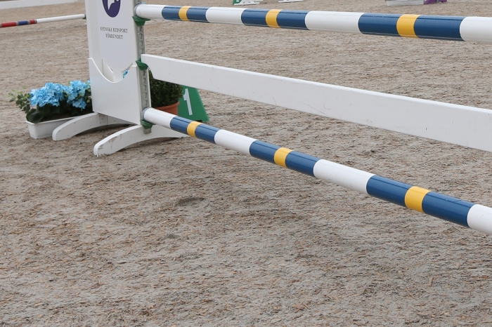 Lagledare och domare döms till böter