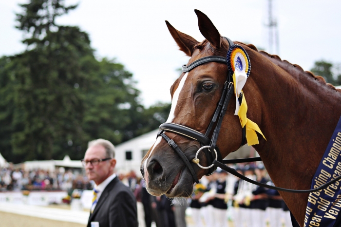 Arvet efter Woodlander Farouche