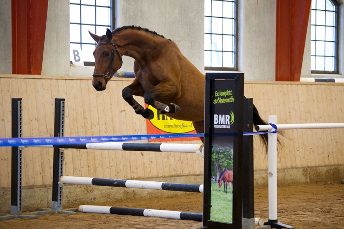Uppskattat 2-årstest här för att stanna