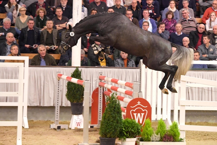 Westfalen accepterade 40 talanger