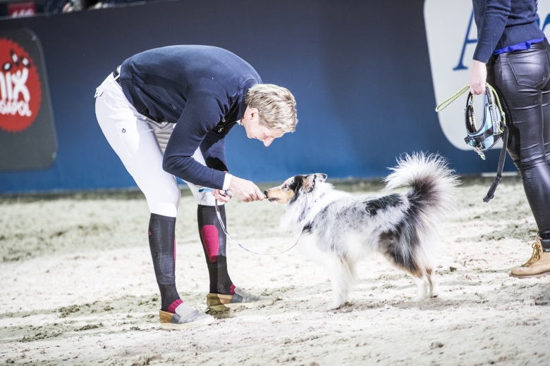 Sweden International Horse Show