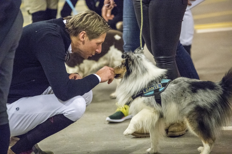 Sweden International Horse Show