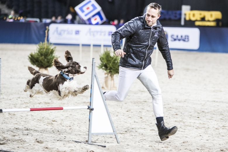 Sweden International Horse Show