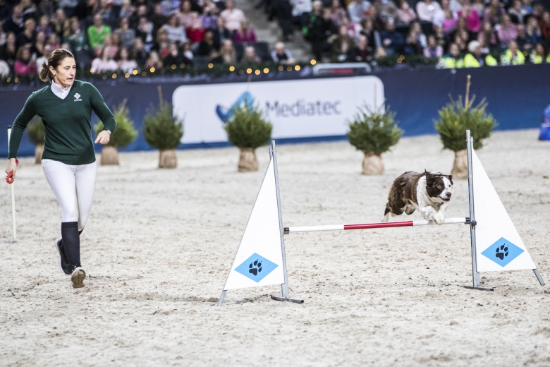 Sweden International Horse Show