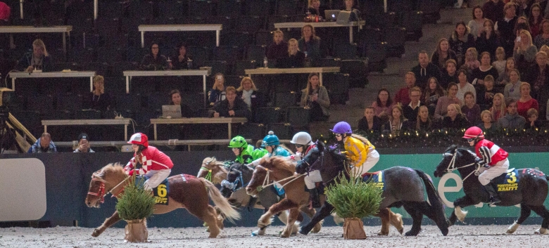Shettisgalopp