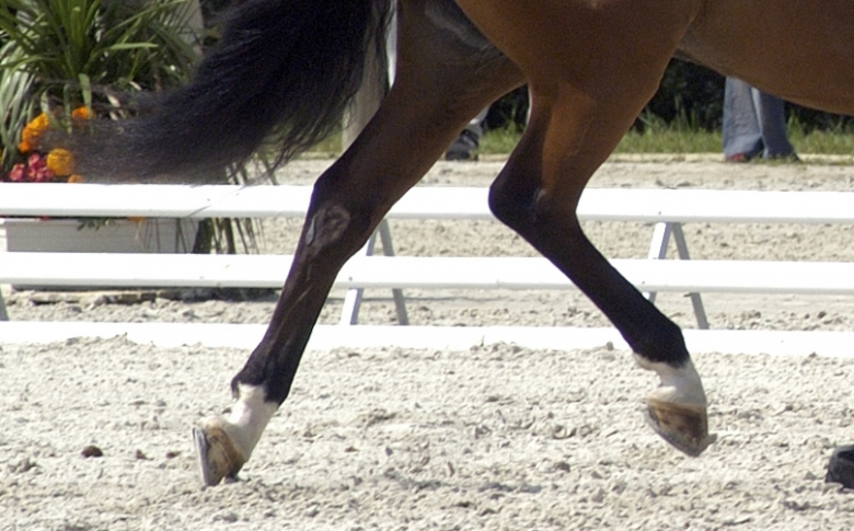 Fler trupper till UVM uttagna