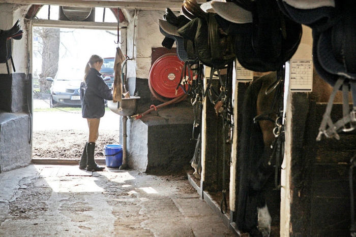 Förbud mot spiltor närmar sig
