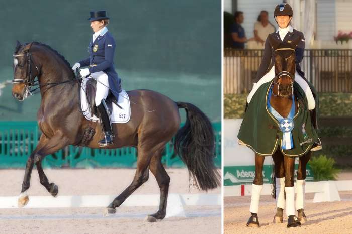 Kanonstart för Tinne i Wellington