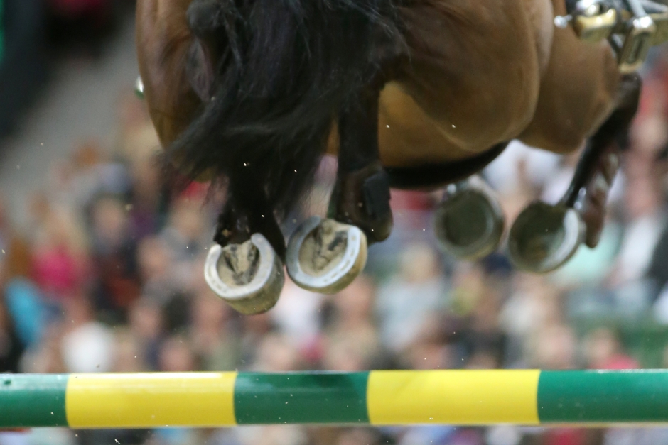 Häst avlivad efter olycka på världscuptävlingen