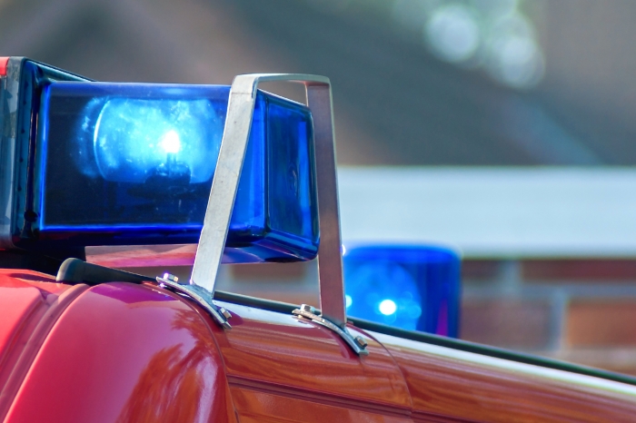 SM-häst rymde från stallet – fastnade i kärr