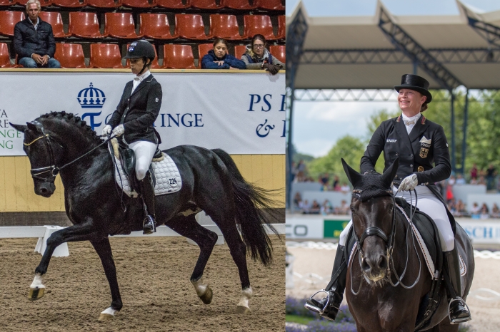 Total Hope åter i Sverige