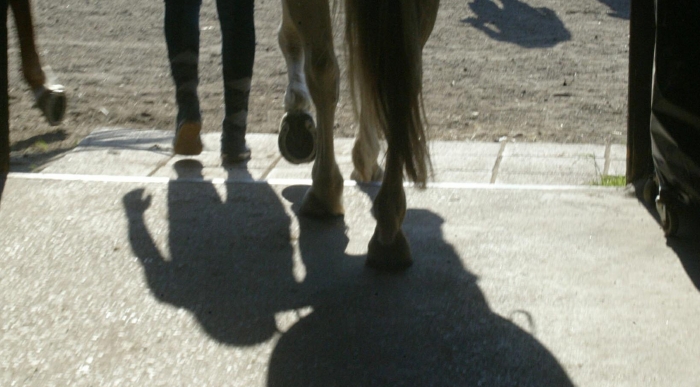 Friskvårdsbidraget: ”Det kan bli extra granskningar”