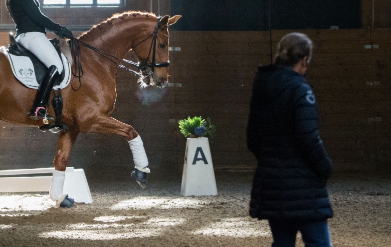 Dags att nominera till Årets dressyrtränare