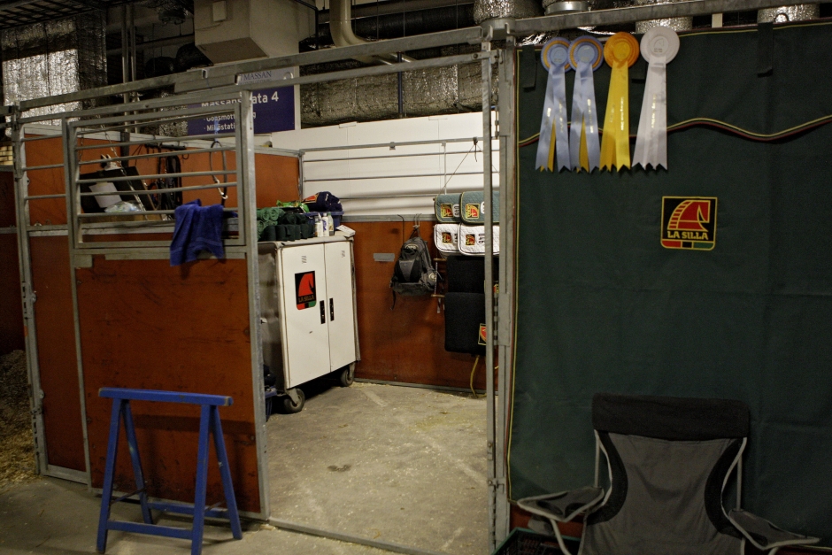 Ny kamera ska öka säkerheten för hästarna i Göteborg