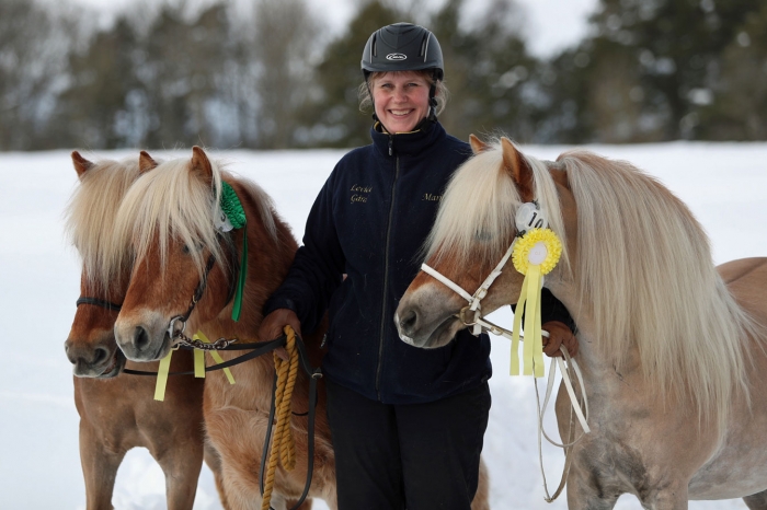 Härlig triss för Stuteri Mariline på Gotland