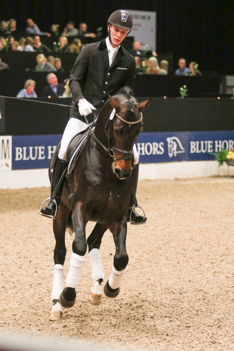 117 Blue Hors Emilio