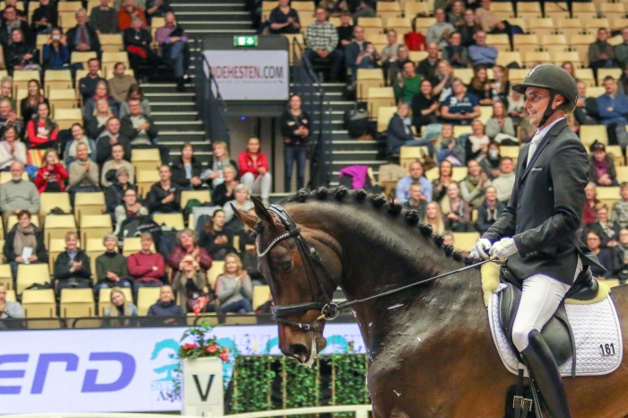 Hetaste hingstarna i Herning