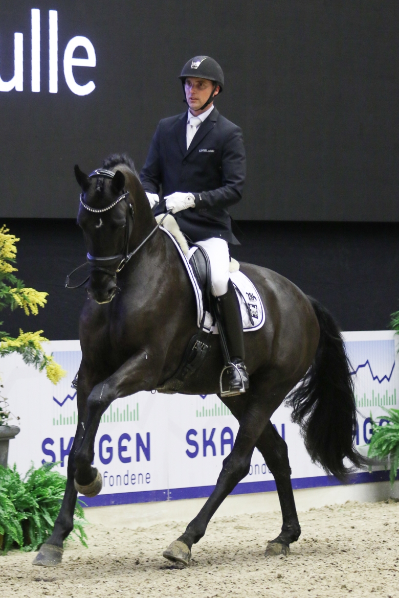 Zhaplin Langholt