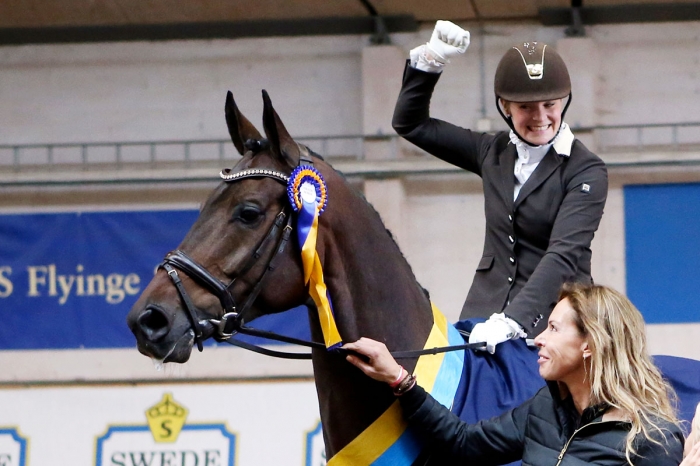 Championats-vinnaren Dan Brown skadad