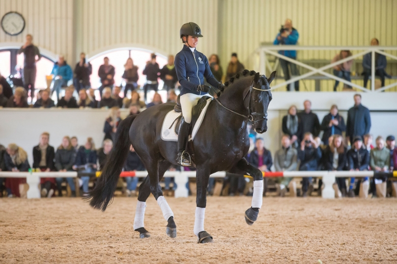 180408 Lövsta Stuteri, Stjärnborg Van Vivaldi, reds av Caroline Darcourt.. Photo: Roland Thunholm Code: 718 35