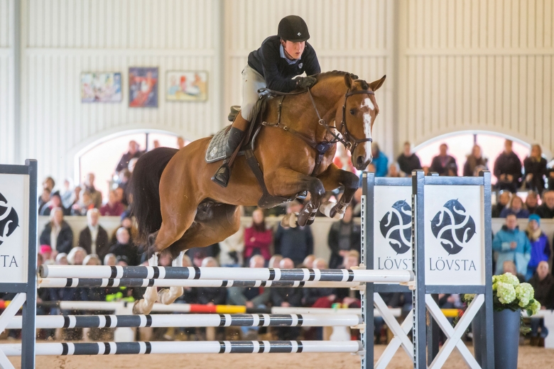 SWB-hingst placerad på unghäst-VM