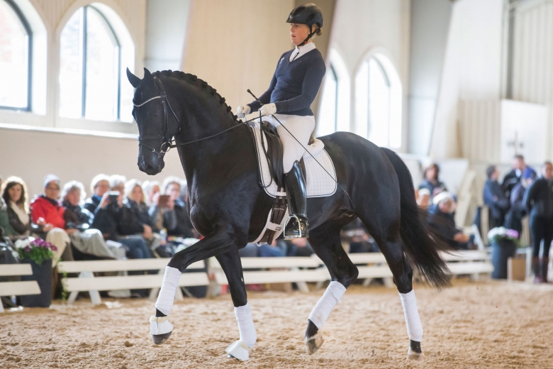 180408 Lövsta Stuteri, Stjärnborg Ironman H, reds av Yvonne Österholm. Photo: Roland Thunholm Code: 718 35