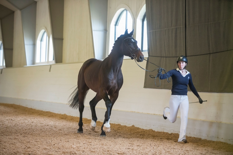 180408 Lövsta Stuteri, Stjärnborg Valencio e. Van Vivaldi, visades vid hand. Photo: Roland Thunholm Code: 718 35