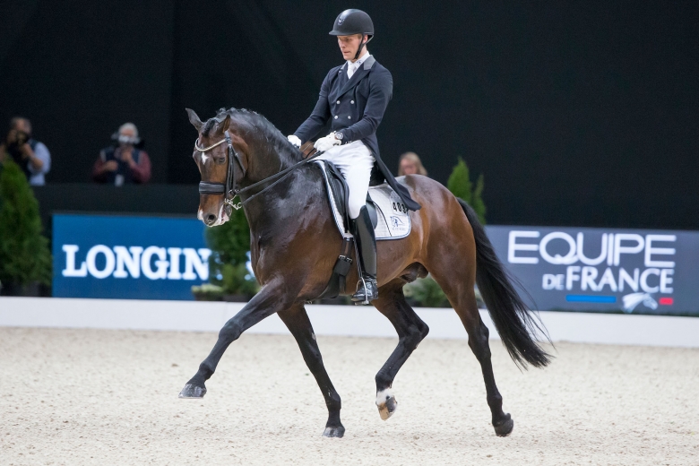 De är årets utmanarhingstar