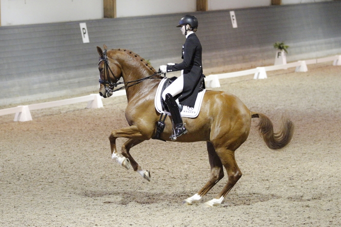 Mattsson och Dolk vinnare i Lövsta Future Challenge