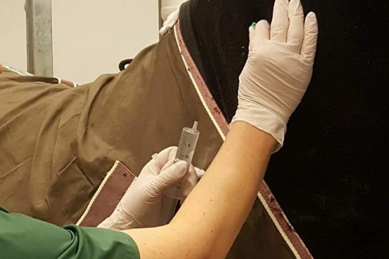 Nya karenstider för antibiotika