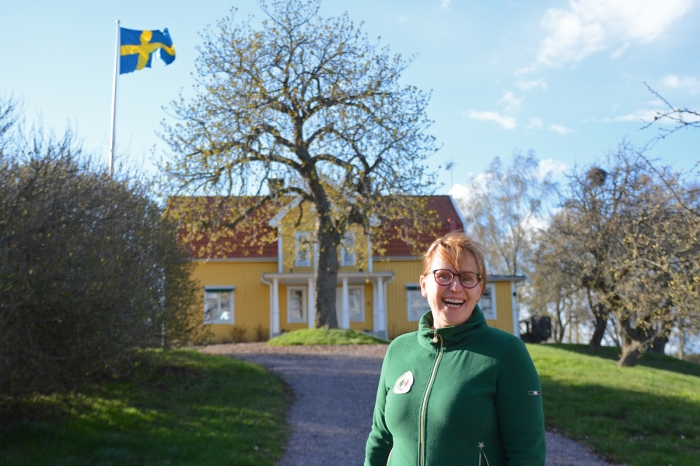 Bildfest från Flemminge gårds hingstvisning