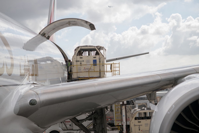 Hästar döda i misstänkt salmonella – karantänanläggning stängs