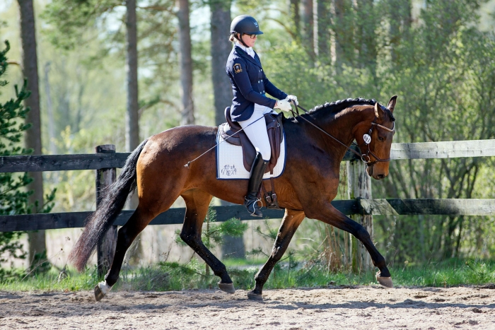 Revansch för Niagara JAZ