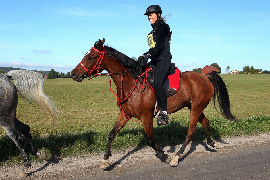 Transportsjuka stoppar svensk VM-häst i distans
