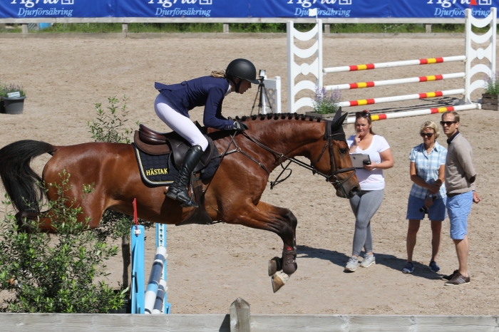 Kvalvinnande Viking Hästak ”en modern typ”