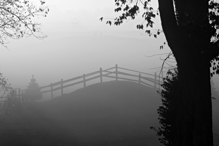 Piskande hästföretagare väcker känslor i Frankrike