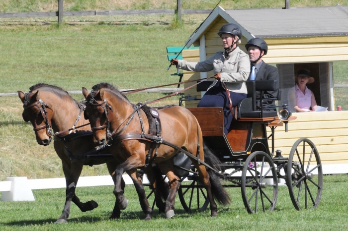 Holländska hästar i topp under körig dressyrdag