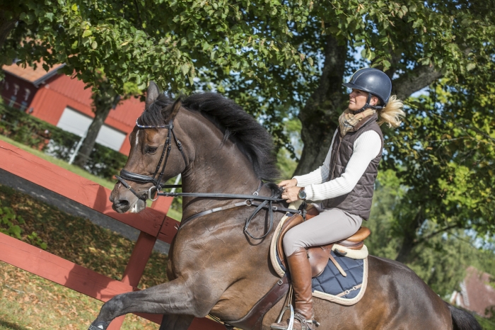 Anna Freskgård trea i Saumurs CCI3*