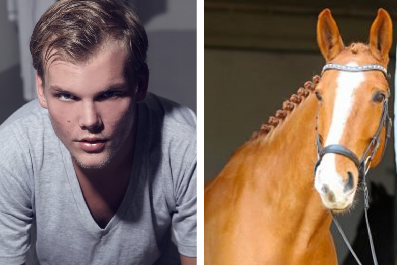 Kolla klippet: Beridna högvaktens hyllning till Avicii