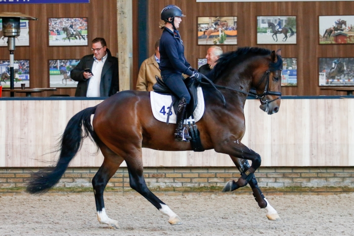 WFFS-anlaget har hittats hos fler hingstar