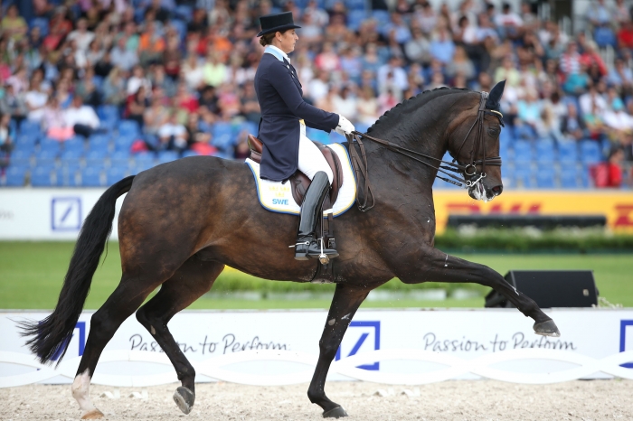 ”Antons” VM-satsning är inte i fara