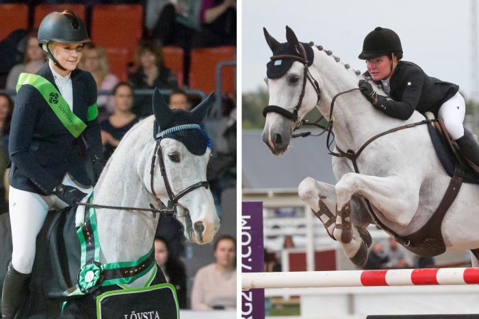 Här är 7 Star-finalisterna som hoppar om internationella FHS-platser