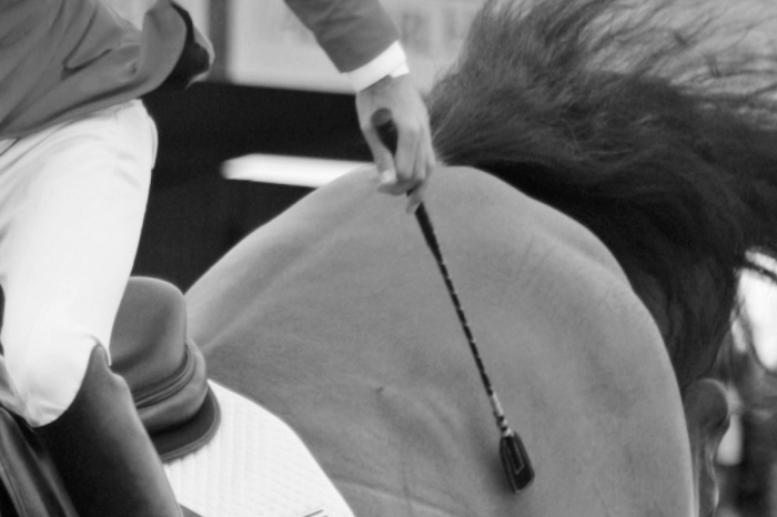 Brittisk ryttare dödshotad efter grov spöanvändning