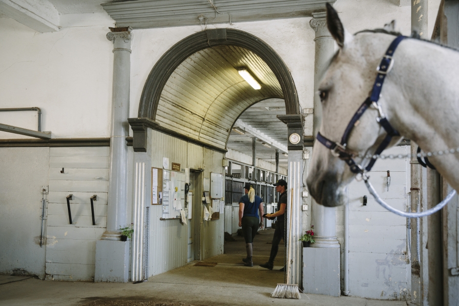 Ridgymnasiet stannar på Flyinge
