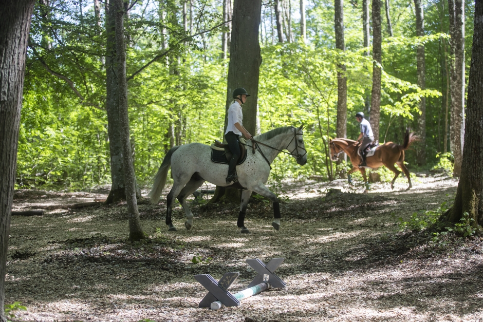 Invigning av naturbanan för hållbara hästar på Strömsholm