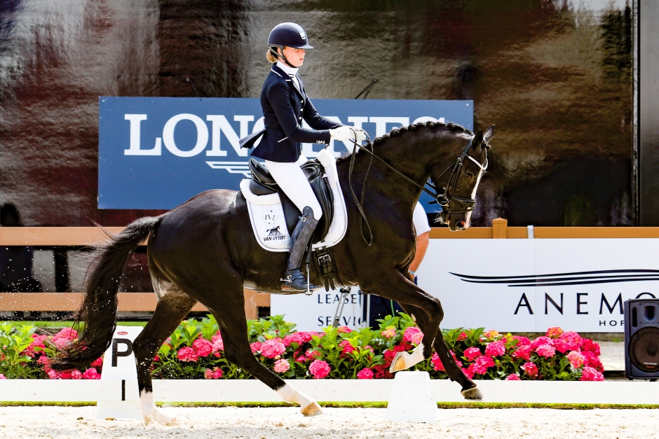 Hingstarna dominerade holländska PAVO Cup