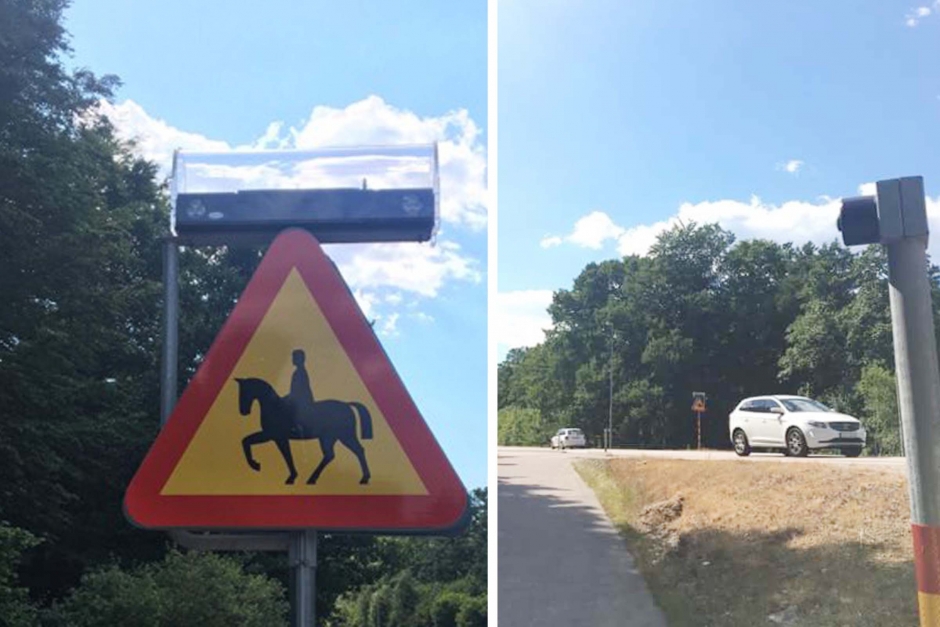 Trafikingenjören reagerade: Nytt varningsljus ska ge säkrare hästpassage